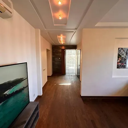 Fancy Penthouse & Spa *