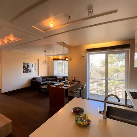Fancy Penthouse & Spa *